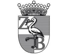 Stichting Zorg en Bijstand