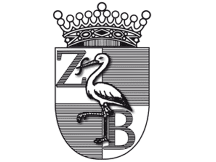 Stichting Zorg en Bijstand